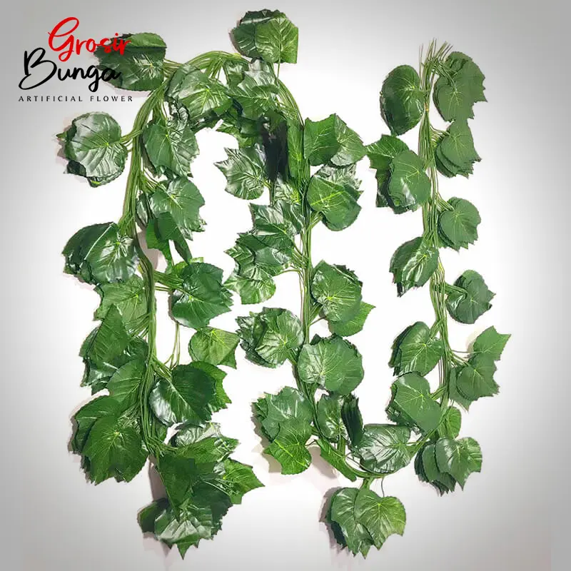 Daun Anggur Rambat Besar