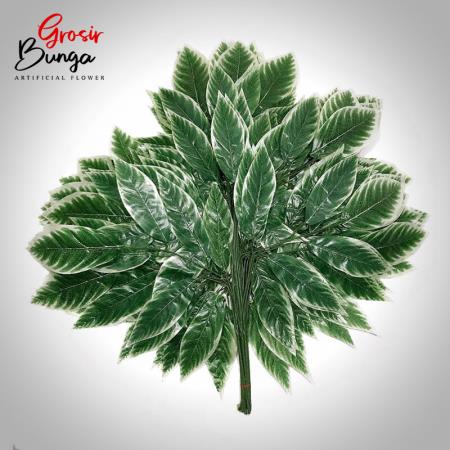 Daun Mangga Hijau List Putih