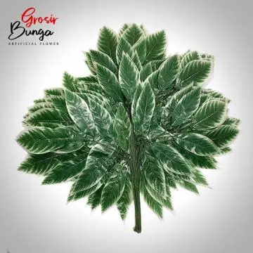 Daun Mangga Hijau List Putih