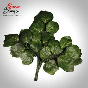 Daun Nangka Hijau