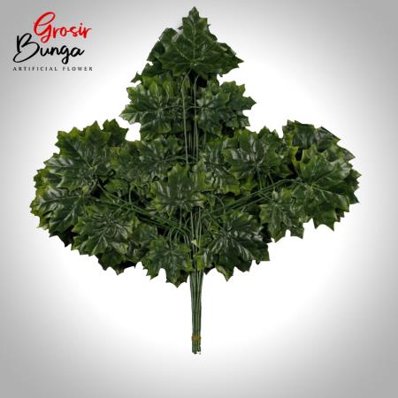 Daun Maple Hijau