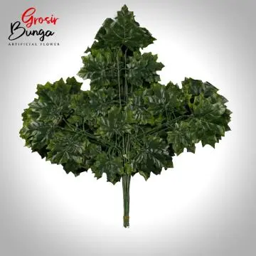 Daun Maple Hijau