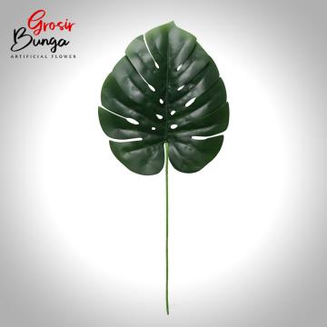 Daun Monstera Besar