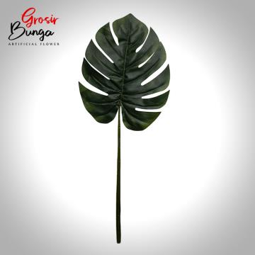 Daun Monstera Jumbo