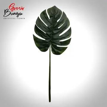 Daun Monstera Jumbo
