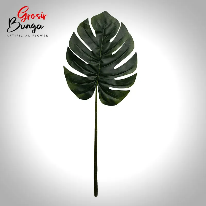 Daun Monstera Jumbo